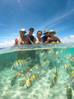 Fonte dos Corais - Suíte Onda do Mar - 4