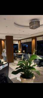 مود فالي Mood Valley - 0