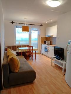 2-izbový apartmán s výhľadom - Spišská Nová Ves - 9