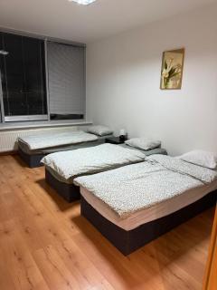 Skyline View Apartment - 15th Floor Bliss - 8