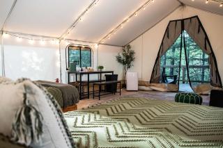 Vireo's Nest- Glamping Tent in the Gorge with AC - 5