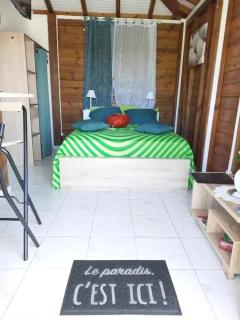 Bungalow moderne à Petit-Canal avec piscine privée - 6