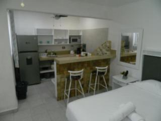 Loft con Alberca y AC Wifi y Check-in - 5