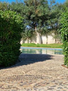 Dar Skalli Essaouira - Oase am Atlantik - 6