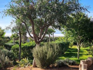 Dar Skalli Essaouira - Oase am Atlantik - 7