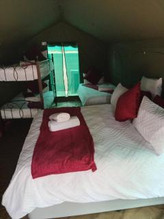 Elephant Memories - Marloth Park - 8