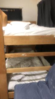 3 Bunks beds and 1 sofa bed Room, 57 Pavilion Drive - 3