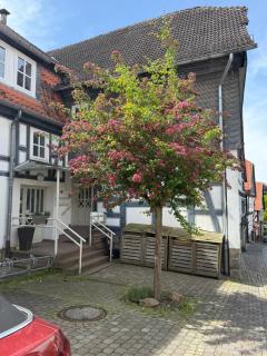 Ferienwohnung für große Gruppen auf einer Etage mit 4 Schlafzimmern, Bad, Parkplatz - 5