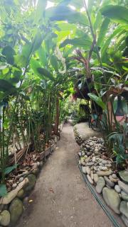 Guatiguara Dónde Orlando - 7