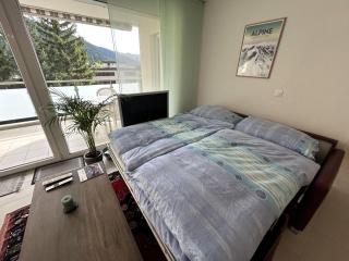 WEF Congress Center View Davos - 9