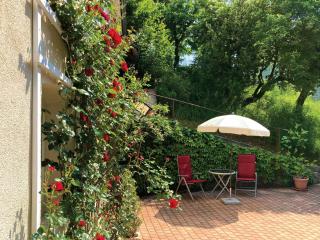 Haus Haselmaus - Zaunkönig - 2