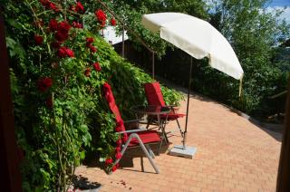 Haus Haselmaus - Zaunkönig - 1