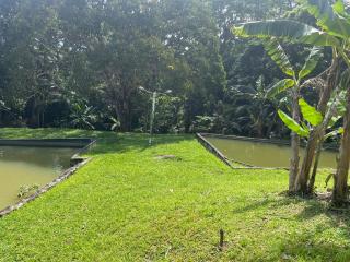 Sítio com água mineral, rio e cachoeira - 8