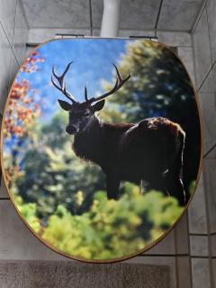 Ferienwohnung Harzgefühl - 8