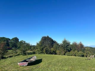 Casa con vista al lago Frutillar - 9