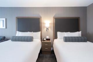 Sandman Signature St. John's Hotel - 9