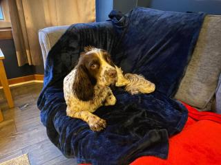 Room with a view - 4