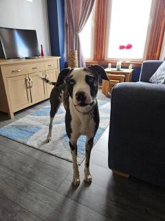 Room with a view - 3