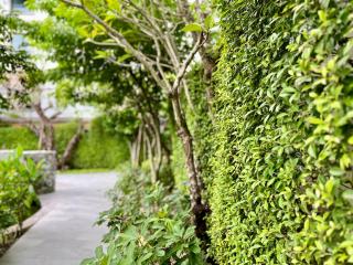 The Title Naiyang by RESAVA - 8