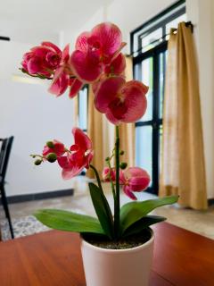 Casa Lluavi - Juno - 3