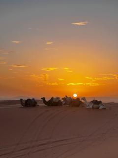 Magamane luxury camp - 7