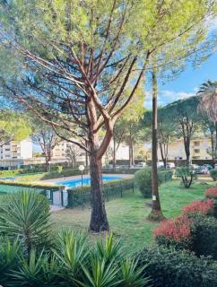 Charming bright studio in Mandelieu-la-Napoule - 1