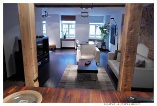 BARTA Apartament Riga Old Town - 8