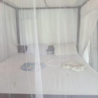 Villa Tropi Lanka - 2