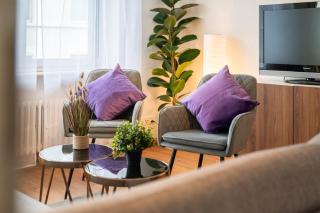 Spacious Apartment near Roche and Tinguely - Special MAGICAL MEERKATS 4 Apartment, Basel, up to 6 guests - 4
