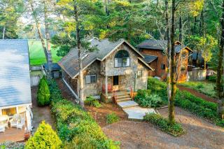 Sea Dream MCA#398 - 5