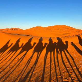 Sahara Moon Luxury Camp - 6