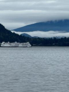 Dream House -Water Lily - 6