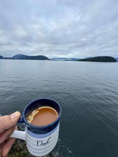 Dream House -Water Lily - 8