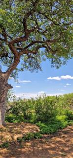 Phumula Bushvilla - 7