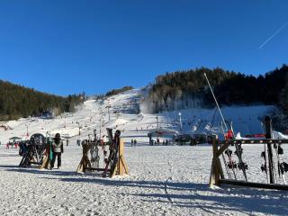 Camping du Château - Granges-sur-Vologne - 3