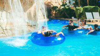 Homestead Foxglove - 5