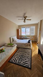 Fully Equipped Bright Apartment Close to Transport - 3