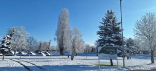 Arijela - hiška v Čatežu 6-1 - Oaza sprostitve v Terme Čatež, 8250 Brežice, Slovenija - 7