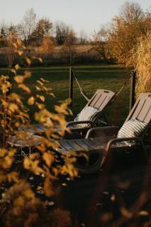 Między lasem, polem a jeziorem - domek na Mazurach - Bogaczewo - 9