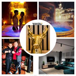 Apartment Roku 2024 - JELEŃ & NATURA - 5