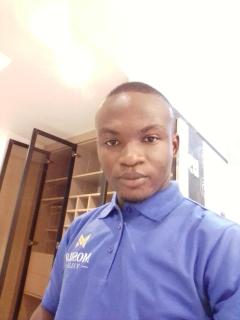 Mosilo villa Apartments - 7