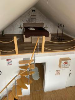 Elephant House-Sd - 8