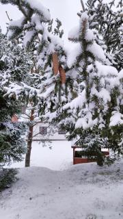 Biały Domek Nielbark - Agroturystyka -  - 5