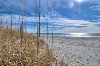 Tilghman Beach & Racquet Club - 114 - 2