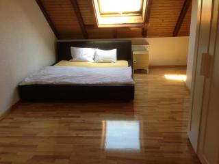 Private room in the big house Bolligen - 2