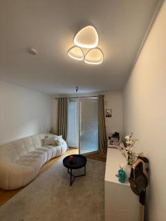 Terrace apartment near Donau - 2