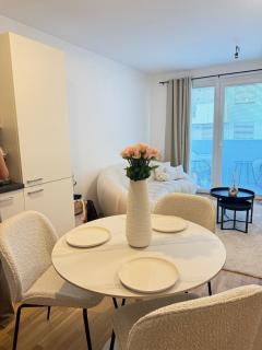 Terrace apartment near Donau - 1