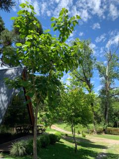 Cabana Amélia, em Gramado - 2