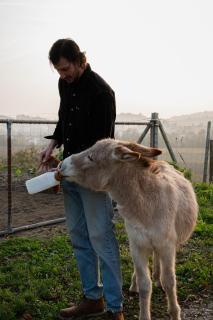 Tenuta Malvolti - Al Vecchio Convento - San Fior di Sopra - 3