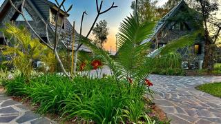 כפר נופש דוגה - ריזורט קסום על שפת הכנרת - 9